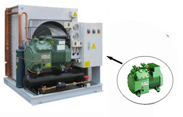 Low-Noise Condensing Unit with Bitzer Compressor  FNS series