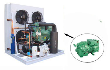 Two-stage Condensing Unit with Bitzer compressor USJZ Series